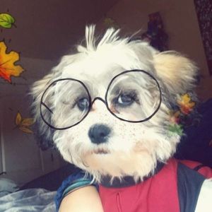 Meet your Posher, Nina